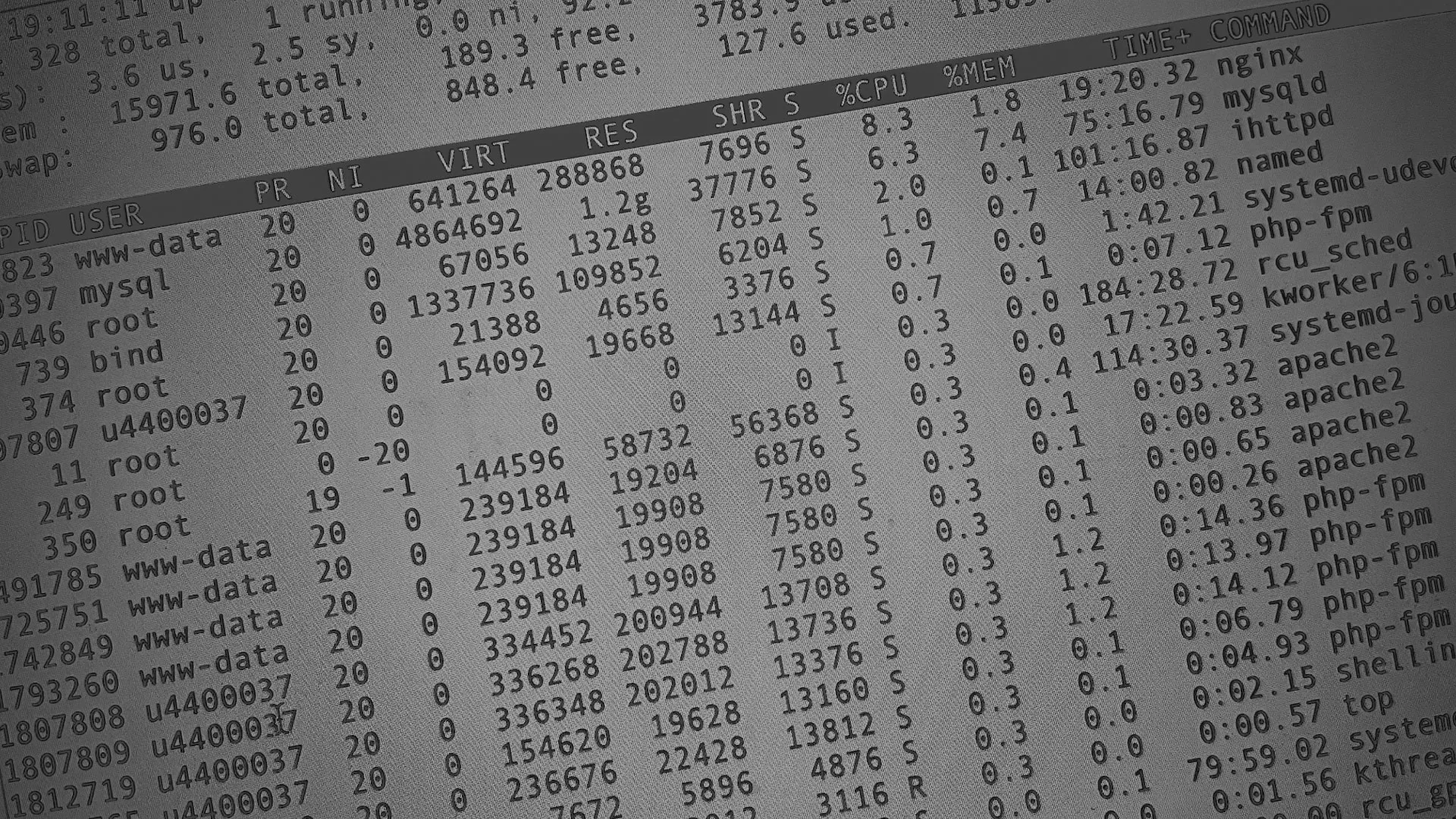 Настройка сервера в Советске Настройка сервера в Советске