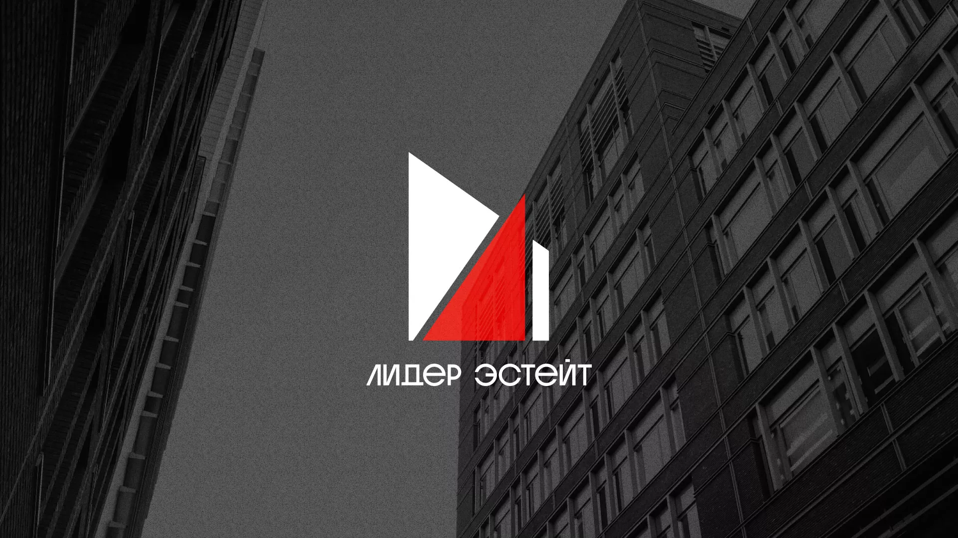 Сделали логотип для агентства недвижимости «Лидер Эстейт» в Советске